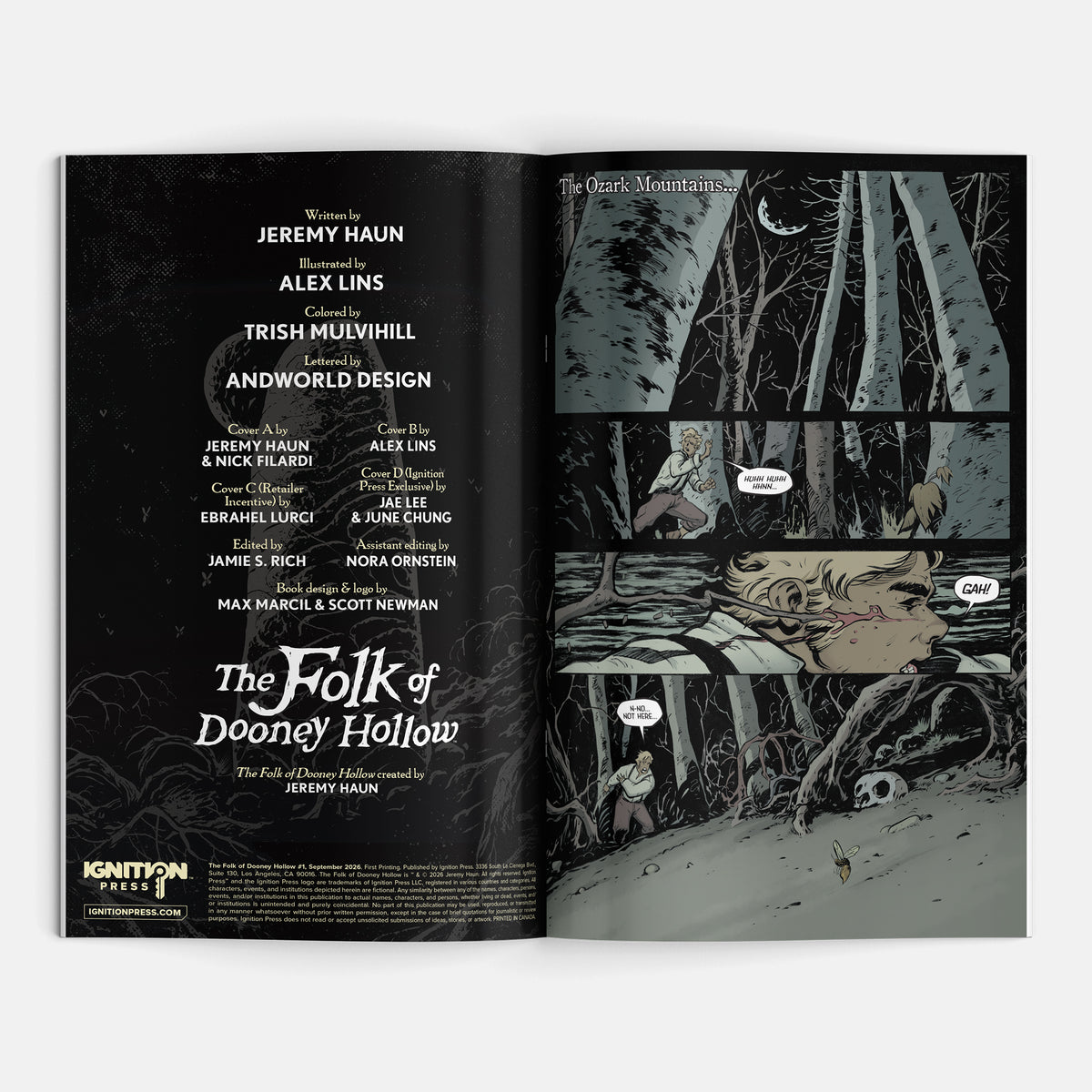 Folk of Dooney Hollow #1 Cover A Jeremy Haun