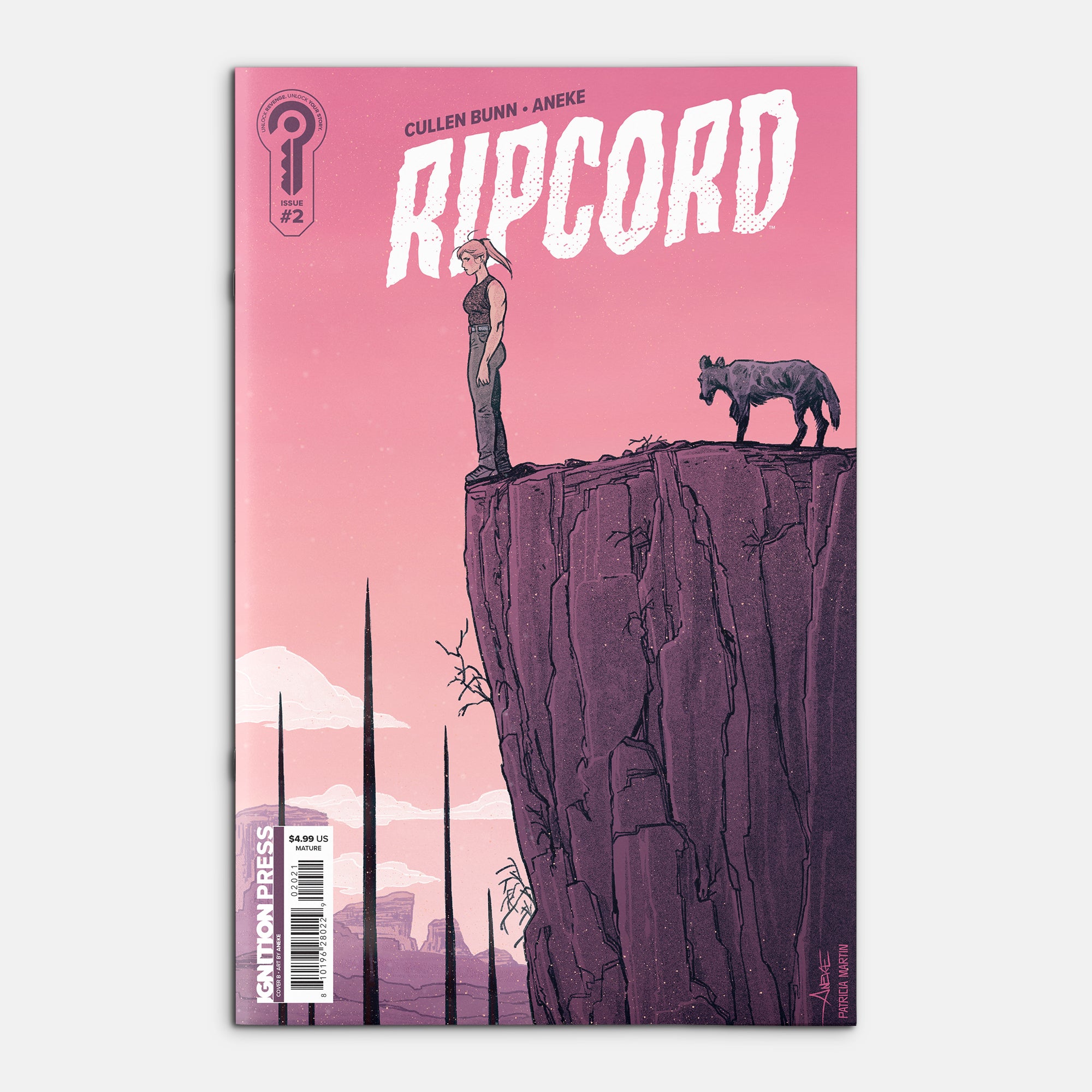 Ripcord #2 Cover B Aneke