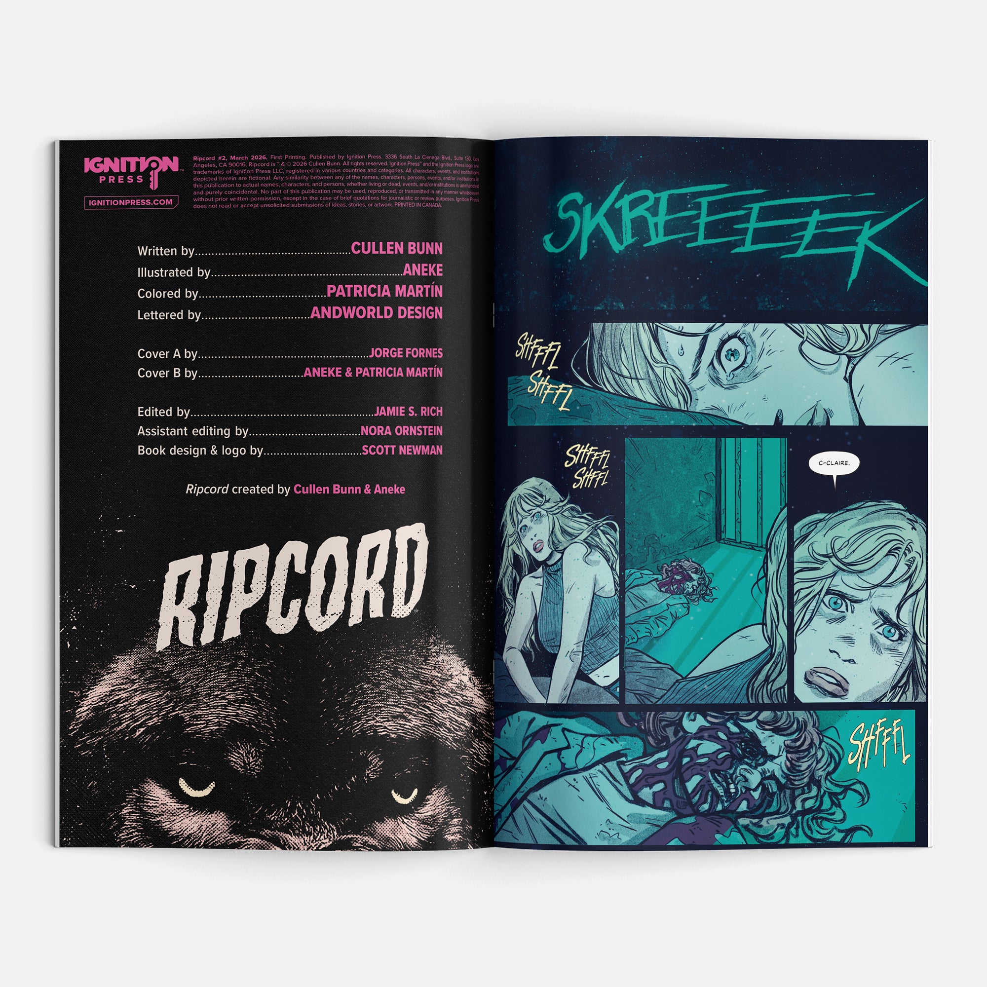 Ripcord #2 Cover B Aneke