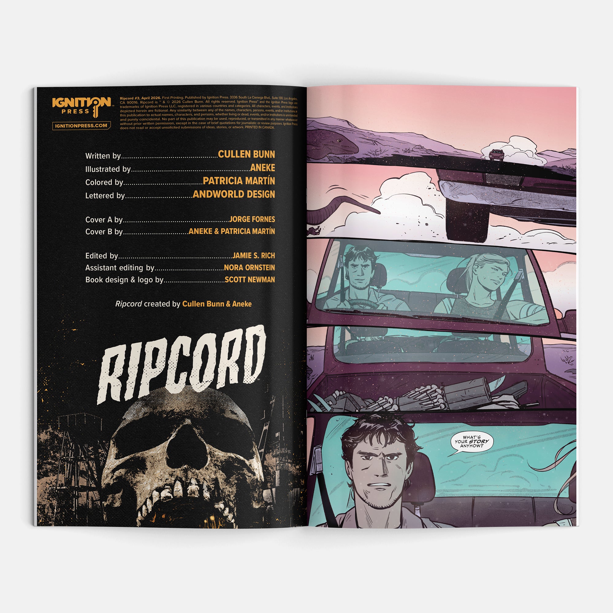Ripcord #3 Cover B Aneke