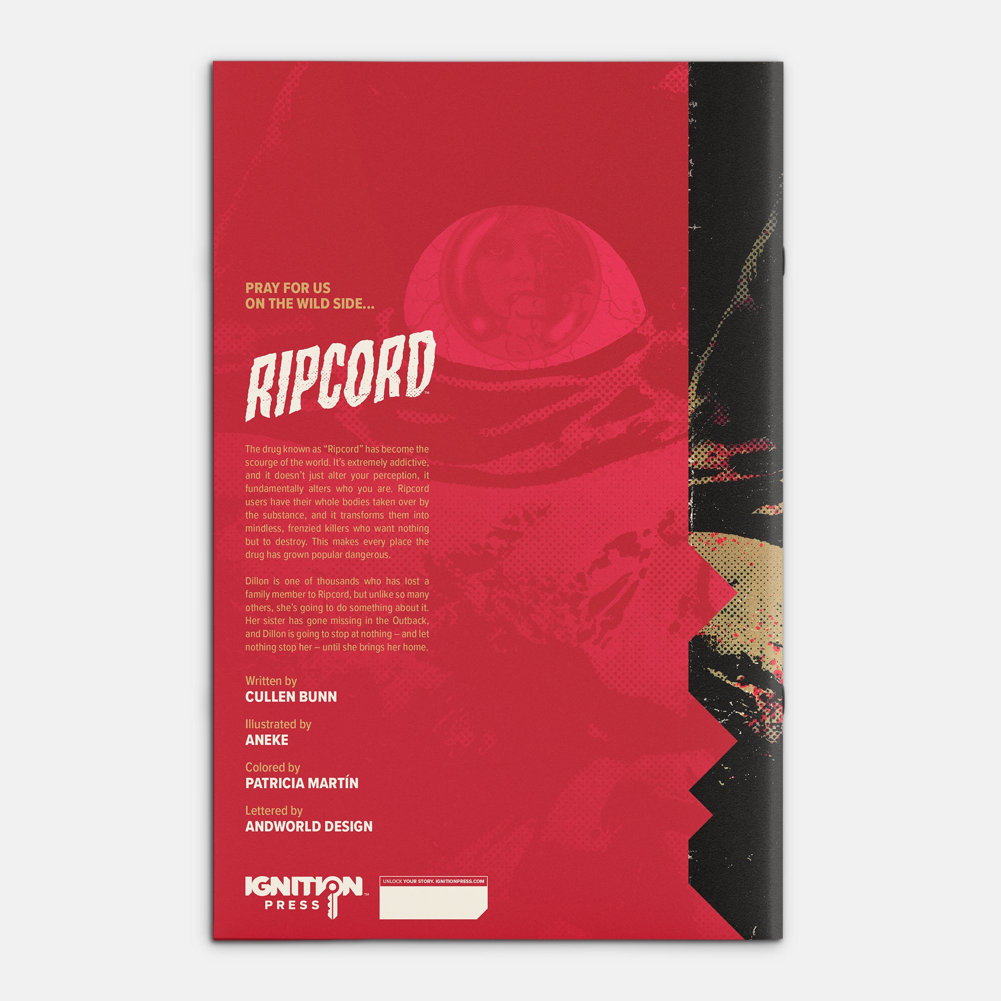 Ripcord #4 Cover A Jorge Fornes