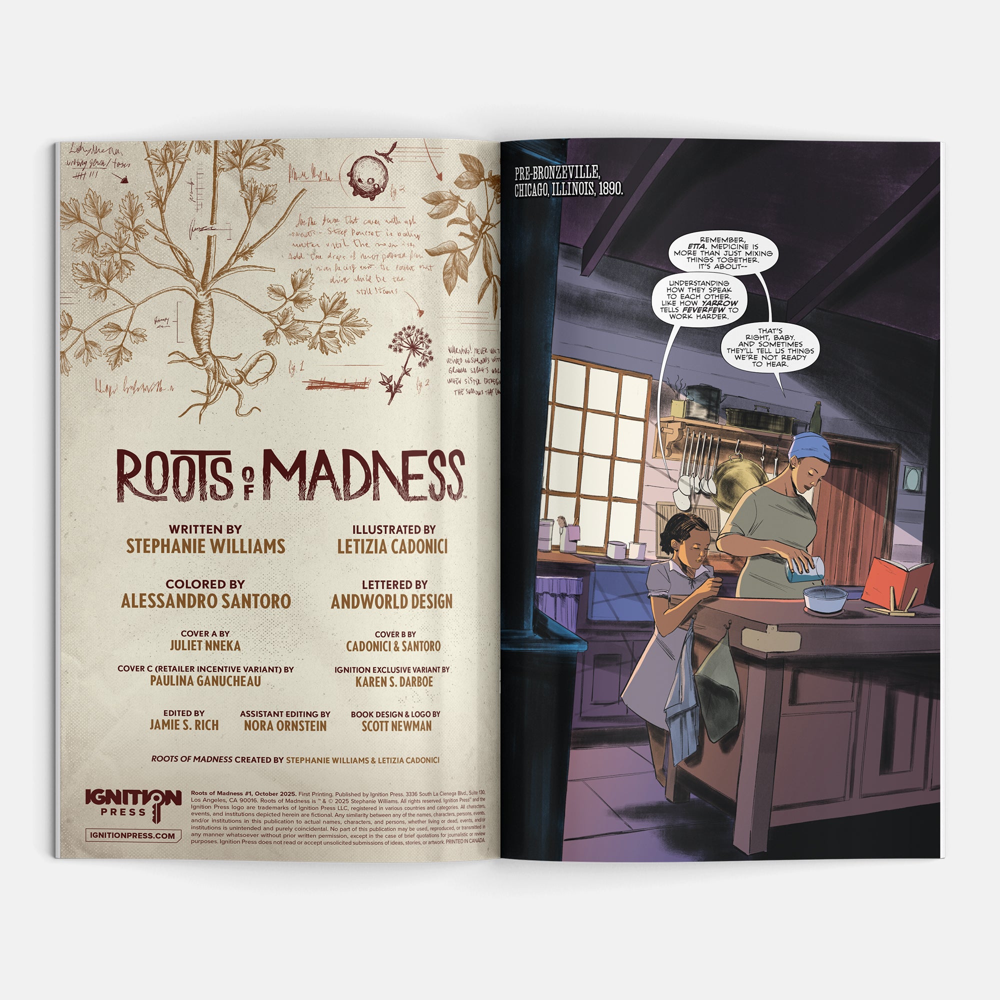 Roots of Madness #1 Cover D Karen Darboe Ignition Exclusive