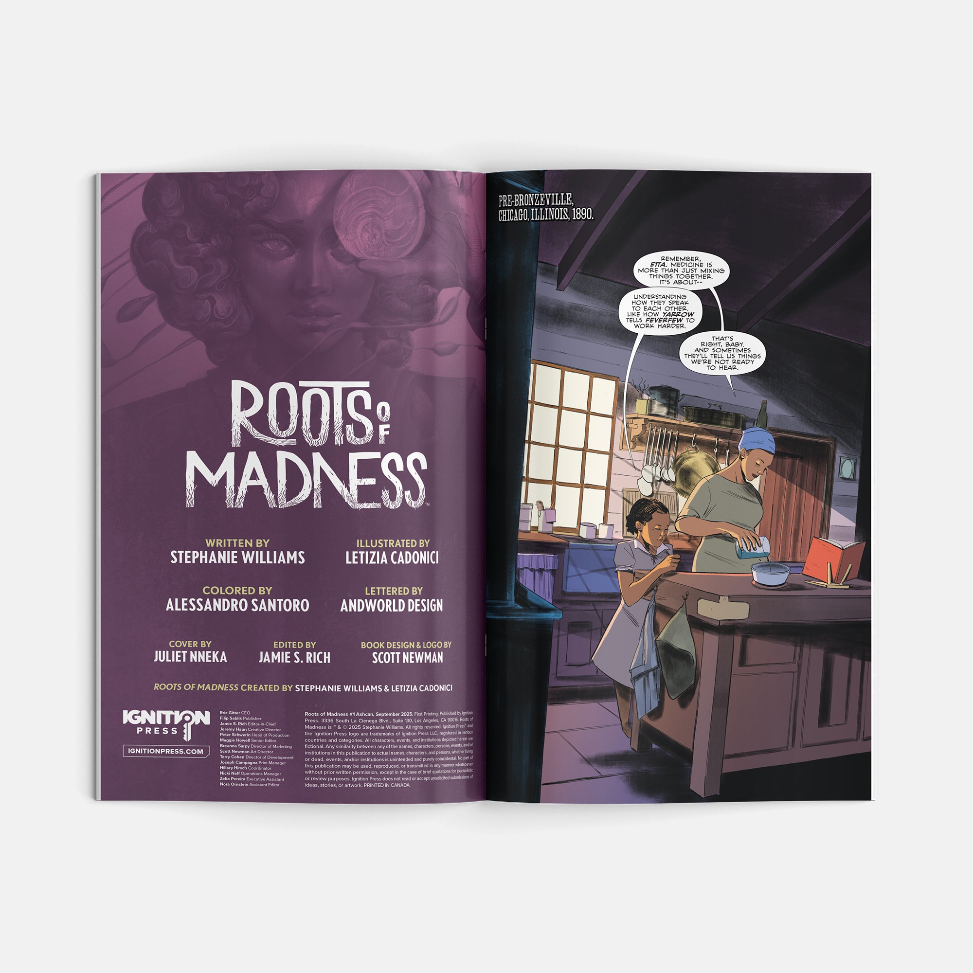 Voyeur #1 Roots of Madness Ashcan 25-Copy Pack 1:10