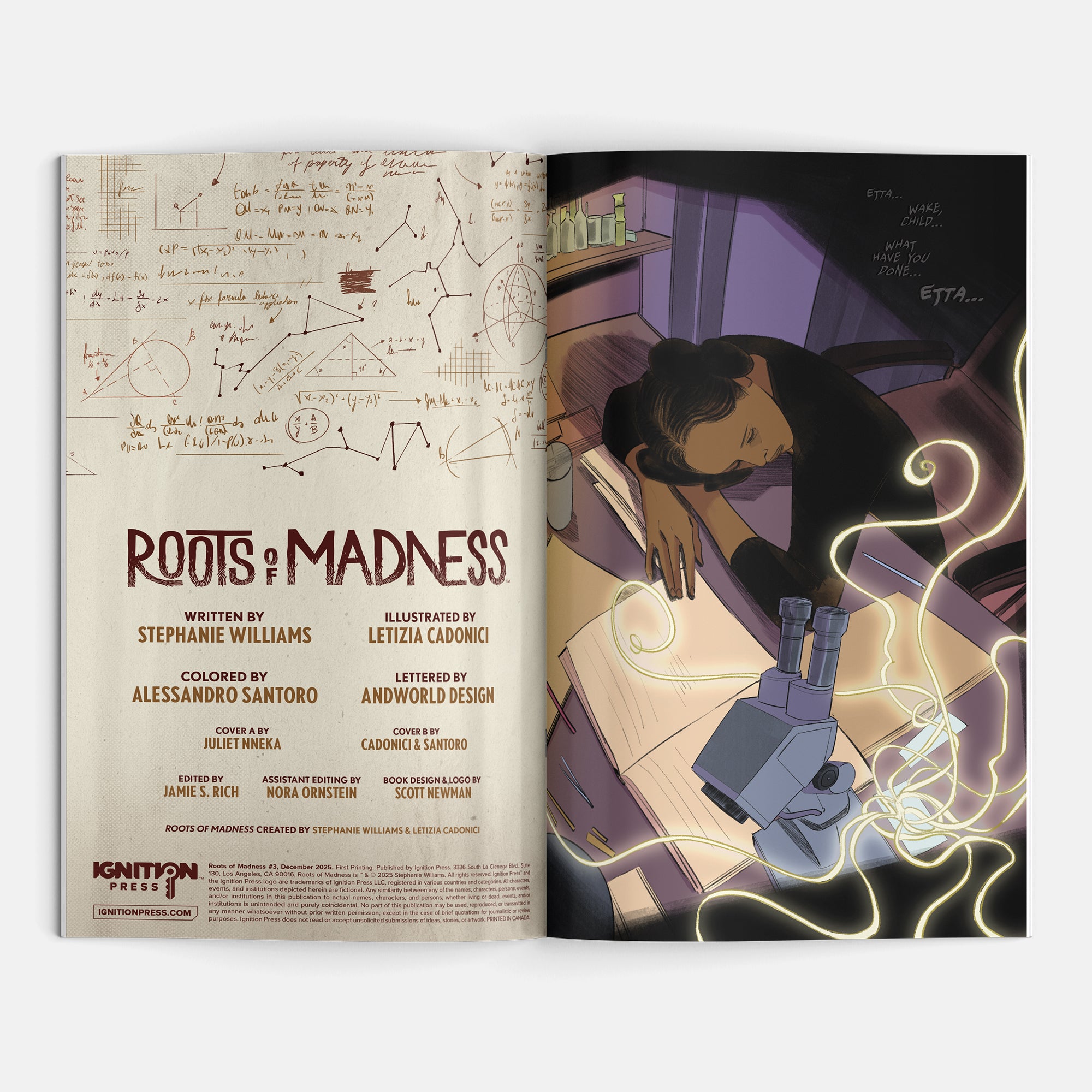 Roots of Madness #3 Cover A Juliet Nneka
