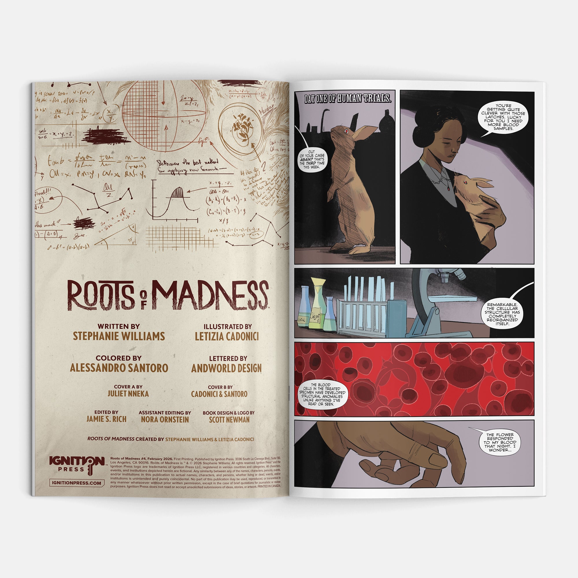 Roots of Madness #4 Cover A Juliet Nneka