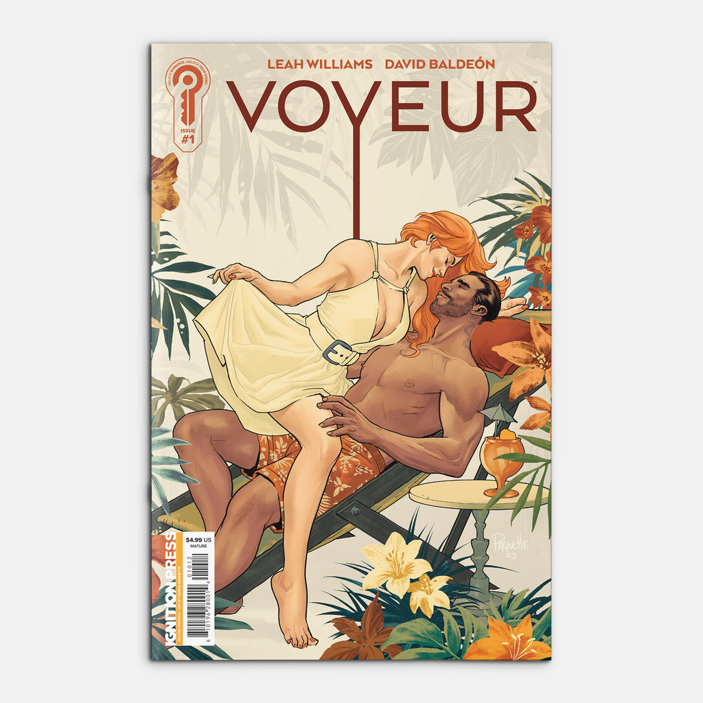 Voyeur #1 Cover E Yanick Paquette 2nd Printing