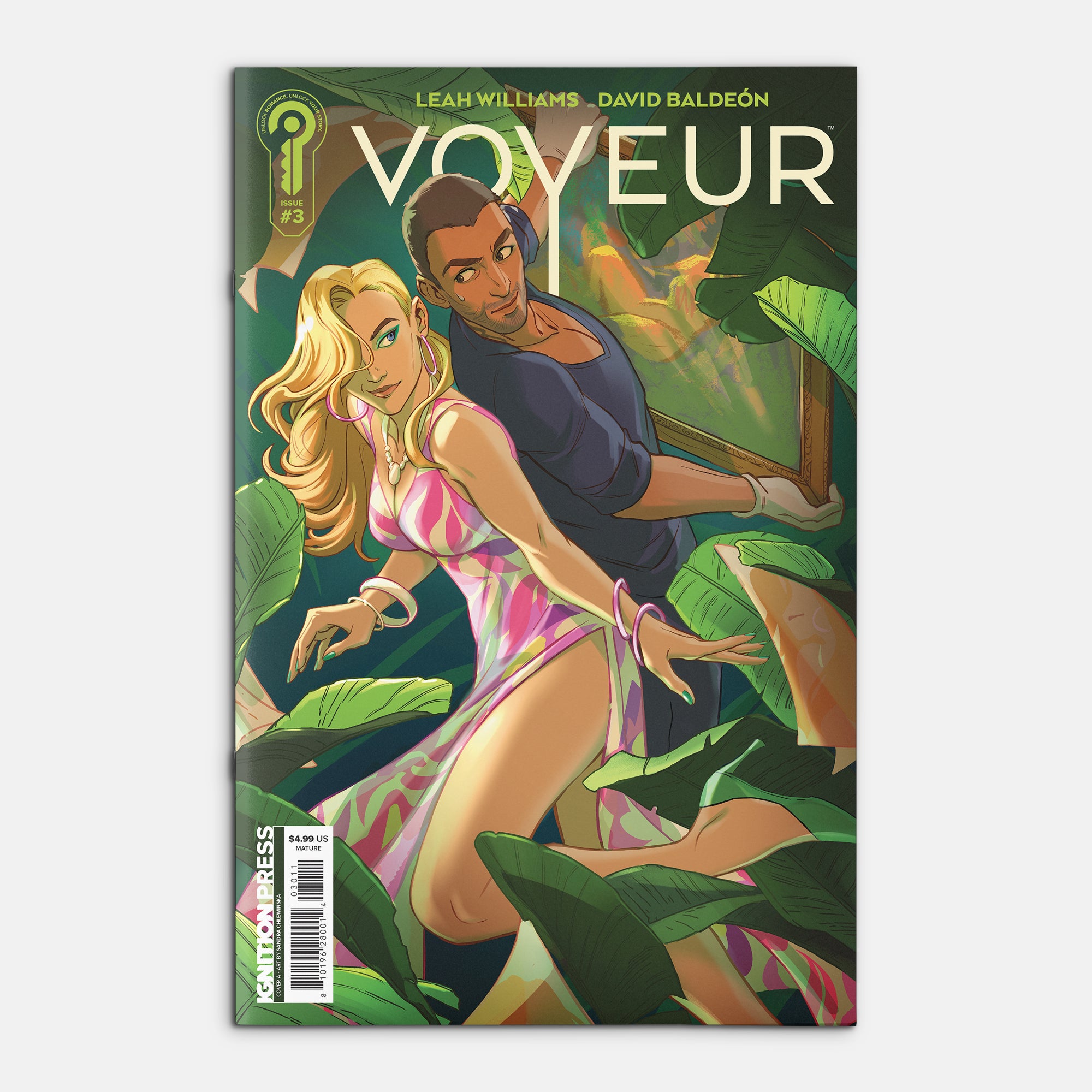 Voyeur #3 Cover A Sandra Chlewinska