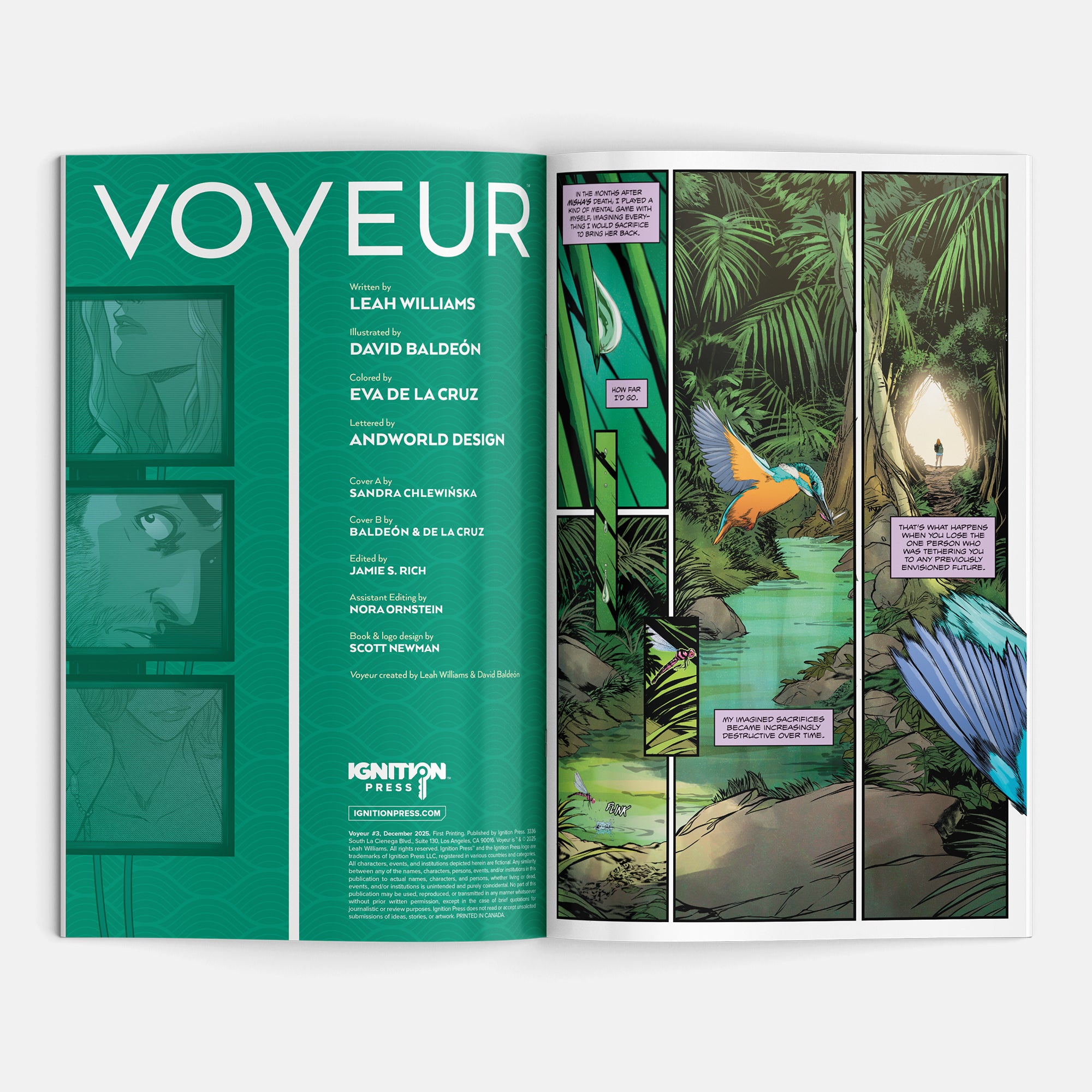 Voyeur #3 Cover A Sandra Chlewinska
