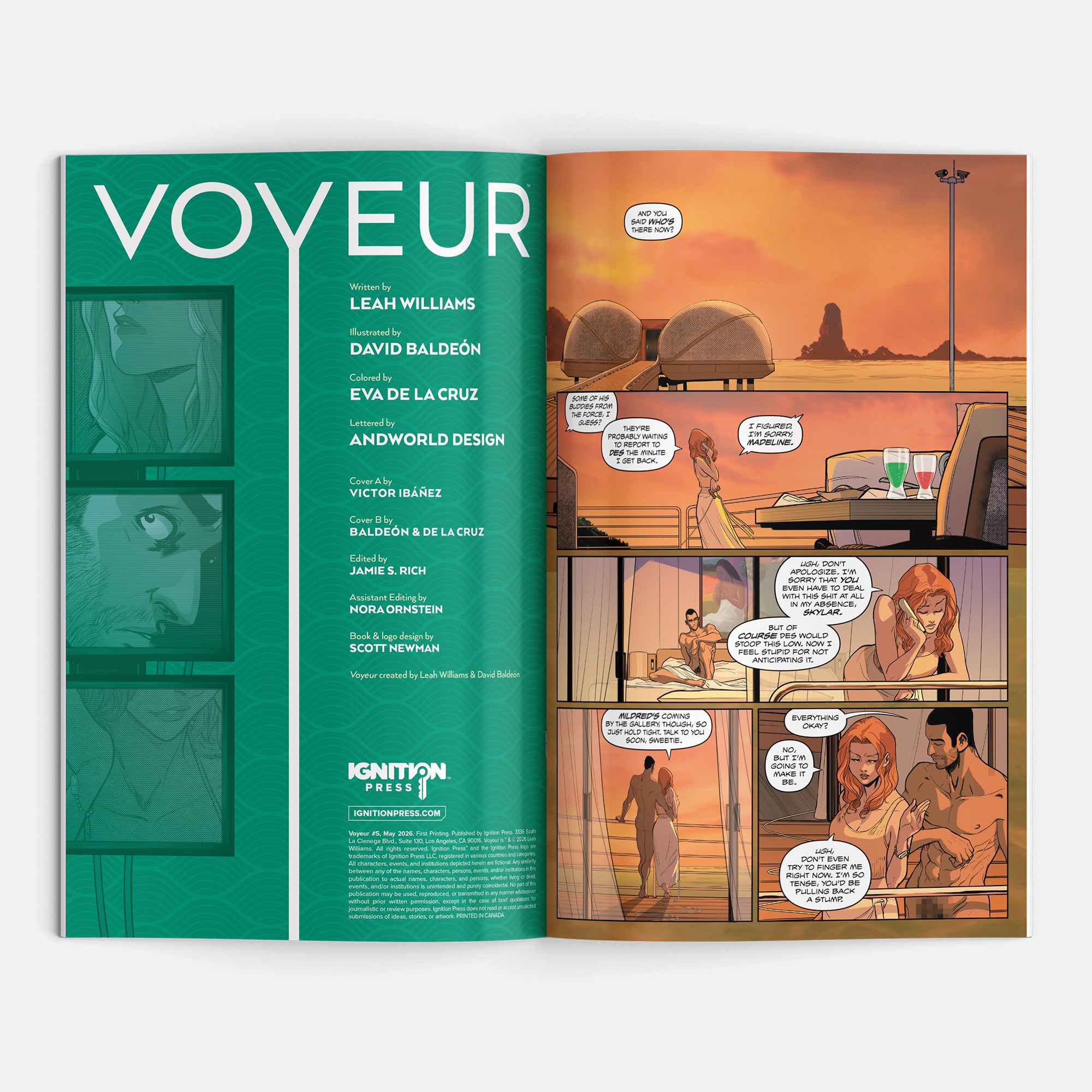 Voyeur #5 Cover B David Baldeón